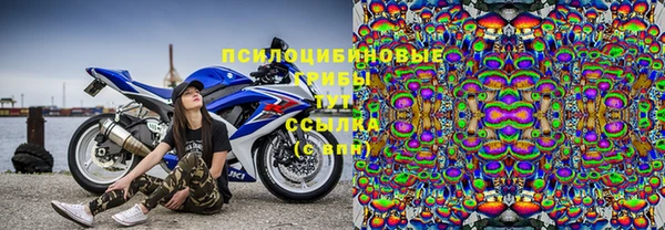соль ск Алексин