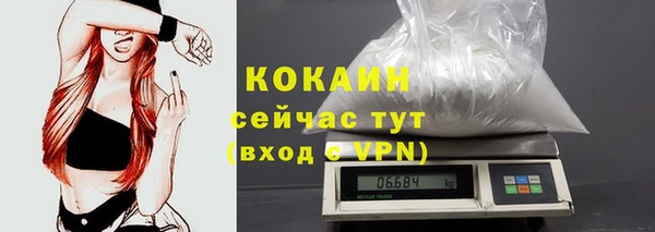 сатива Краснослободск
