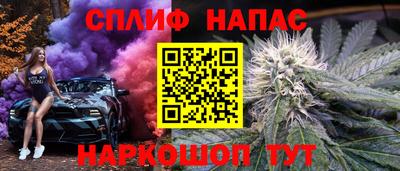 дмт Моздок