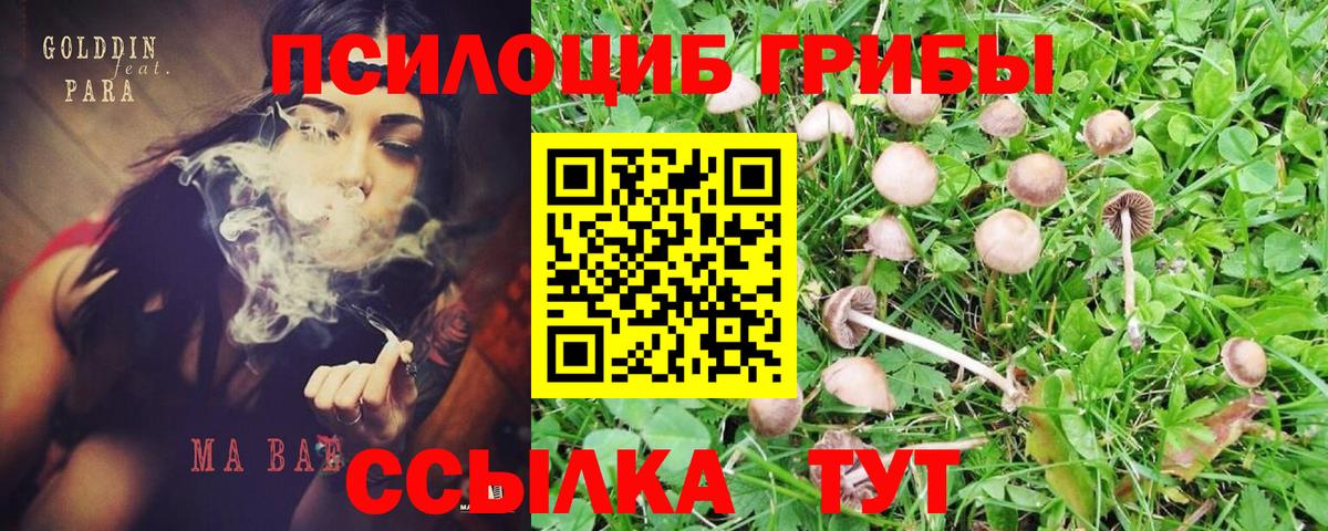 Псилоцибиновые грибы Magic Shrooms Дюртюли